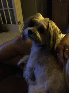 Meet your Posher, Keith